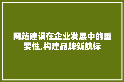 网站建设在企业发展中的重要性,构建品牌新航标