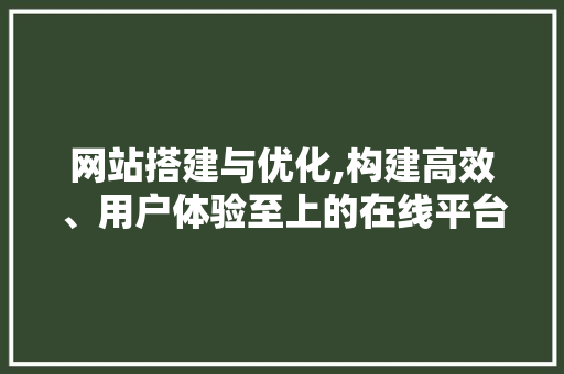 网站搭建与优化,构建高效、用户体验至上的在线平台