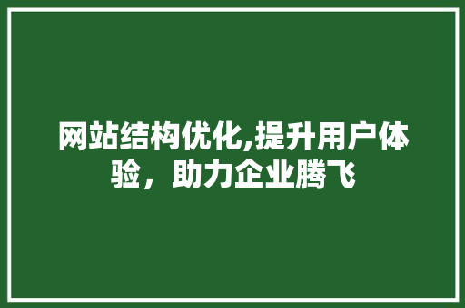 网站结构优化,提升用户体验，助力企业腾飞
