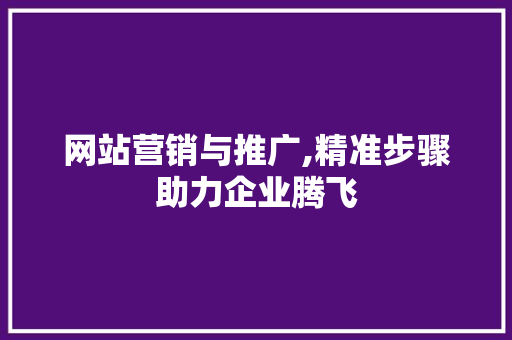 网站营销与推广,精准步骤助力企业腾飞