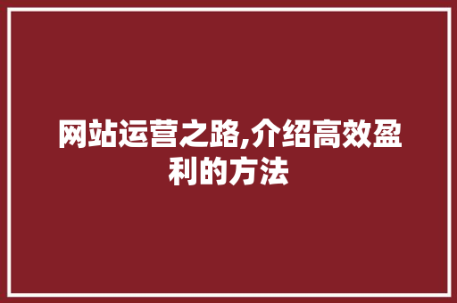 网站运营之路,介绍高效盈利的方法