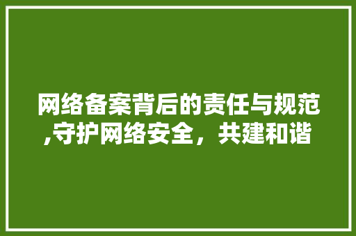网络备案背后的责任与规范,守护网络安全，共建和谐网络环境