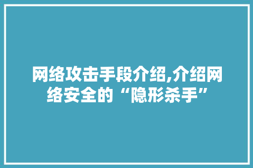 网络攻击手段介绍,介绍网络安全的“隐形杀手”