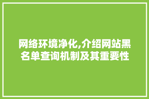 网络环境净化,介绍网站黑名单查询机制及其重要性