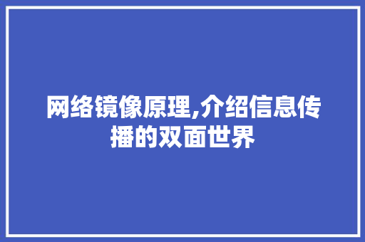 网络镜像原理,介绍信息传播的双面世界