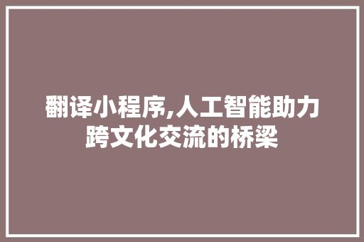 翻译小程序,人工智能助力跨文化交流的桥梁
