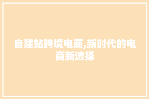 自建站跨境电商,新时代的电商新选择
