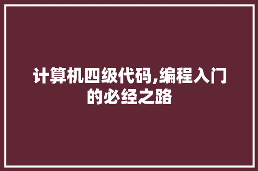 计算机四级代码,编程入门的必经之路