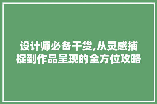 设计师必备干货,从灵感捕捉到作品呈现的全方位攻略
