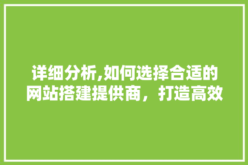 详细分析,如何选择合适的网站搭建提供商，打造高效企业门户