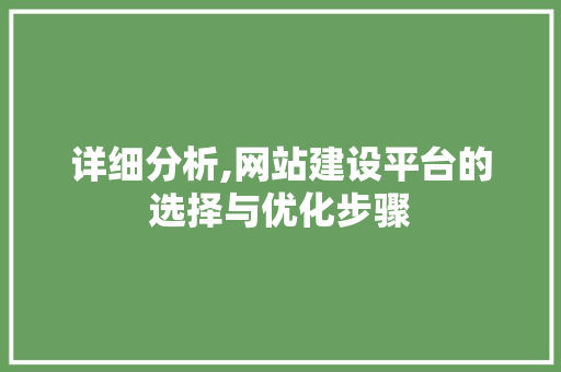 详细分析,网站建设平台的选择与优化步骤