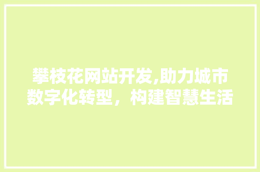 攀枝花网站开发,助力城市数字化转型，构建智慧生活新篇章