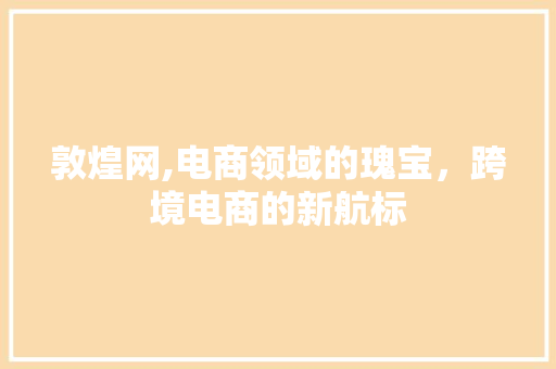 敦煌网,电商领域的瑰宝，跨境电商的新航标