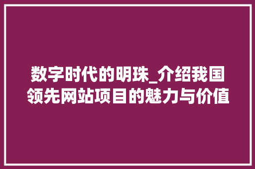 数字时代的明珠_介绍我国领先网站项目的魅力与价值