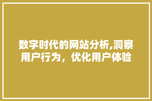 数字时代的网站分析,洞察用户行为，优化用户体验