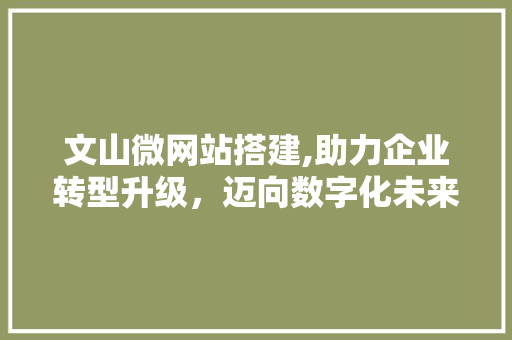 文山微网站搭建,助力企业转型升级，迈向数字化未来