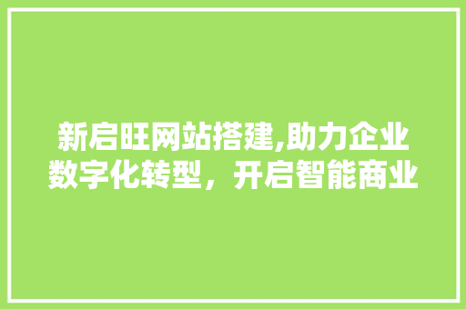 新启旺网站搭建,助力企业数字化转型，开启智能商业新时代