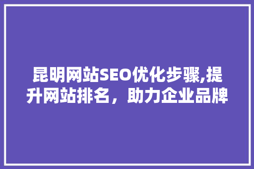 昆明网站SEO优化步骤,提升网站排名，助力企业品牌发展