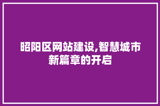 昭阳区网站建设,智慧城市新篇章的开启