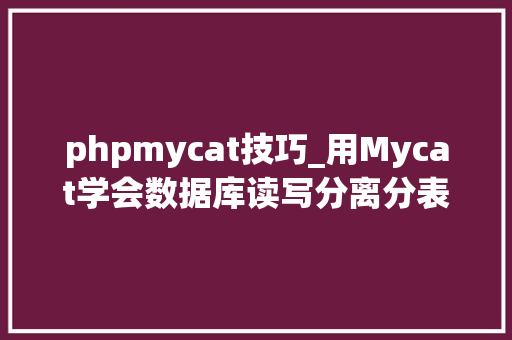 phpmycat技巧_用Mycat学会数据库读写分离分表分库