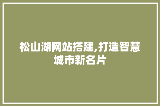 松山湖网站搭建,打造智慧城市新名片