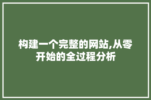 构建一个完整的网站,从零开始的全过程分析
