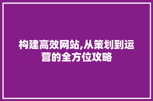 构建高效网站,从策划到运营的全方位攻略