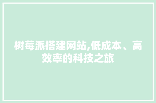 树莓派搭建网站,低成本、高效率的科技之旅