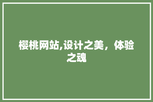 樱桃网站,设计之美，体验之魂