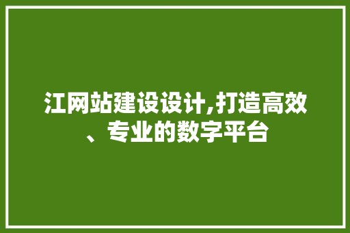 江网站建设设计,打造高效、专业的数字平台