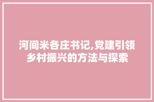河间米各庄书记,党建引领乡村振兴的方法与探索