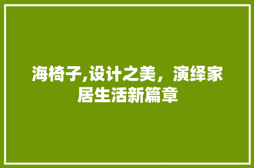 海椅子,设计之美，演绎家居生活新篇章