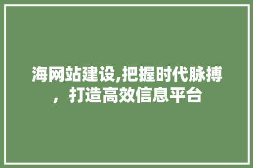 海网站建设,把握时代脉搏，打造高效信息平台