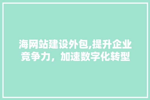 海网站建设外包,提升企业竞争力，加速数字化转型