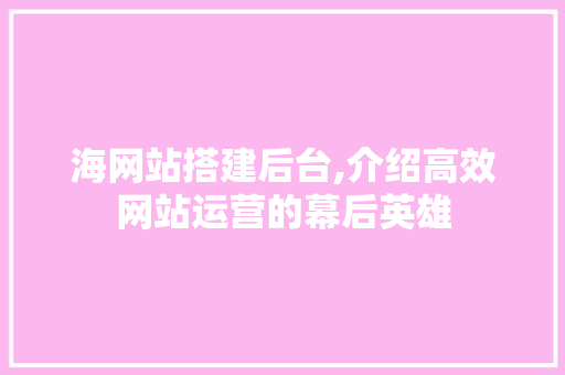 海网站搭建后台,介绍高效网站运营的幕后英雄
