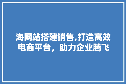 海网站搭建销售,打造高效电商平台，助力企业腾飞