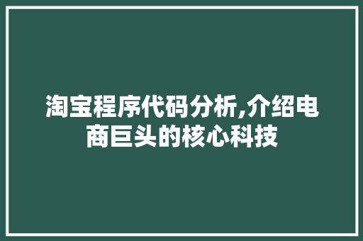淘宝程序代码分析,介绍电商巨头的核心科技