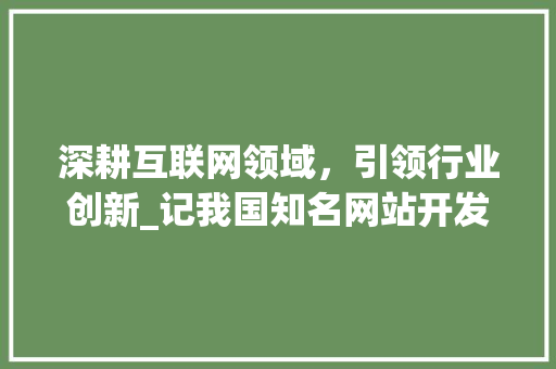 深耕互联网领域，引领行业创新_记我国知名网站开发公司
