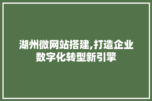 湖州微网站搭建,打造企业数字化转型新引擎