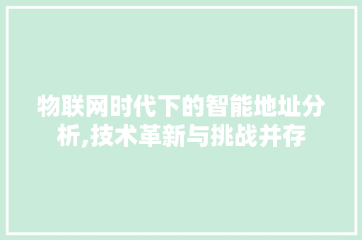 物联网时代下的智能地址分析,技术革新与挑战并存