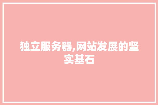 独立服务器,网站发展的坚实基石