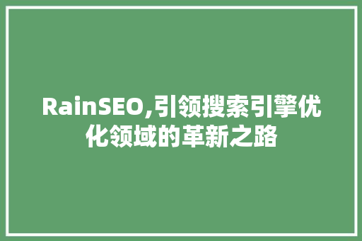 RainSEO,引领搜索引擎优化领域的革新之路