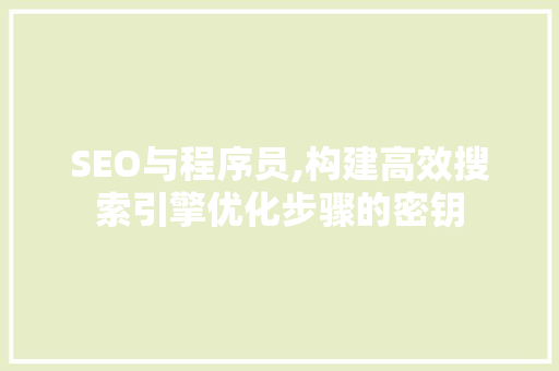 SEO与程序员,构建高效搜索引擎优化步骤的密钥
