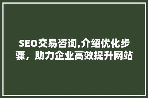 SEO交易咨询,介绍优化步骤，助力企业高效提升网站排名