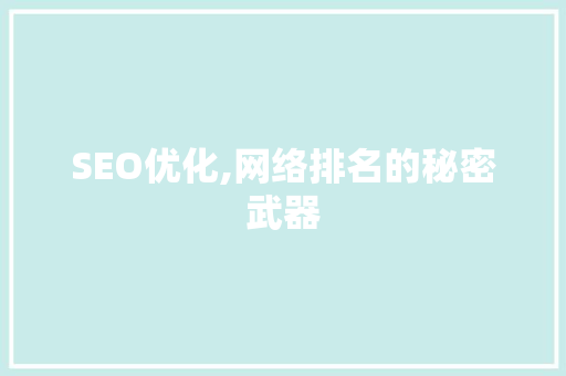 SEO优化,网络排名的秘密武器