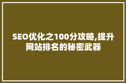 SEO优化之100分攻略,提升网站排名的秘密武器