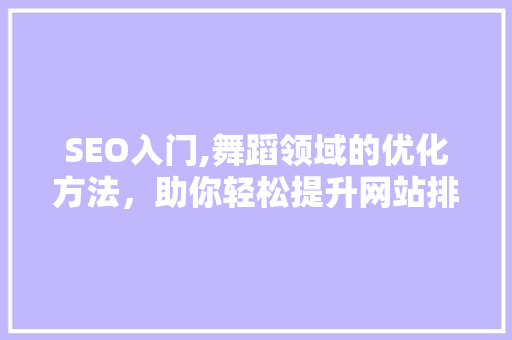 SEO入门,舞蹈领域的优化方法，助你轻松提升网站排名