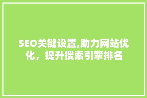 SEO关键设置,助力网站优化，提升搜索引擎排名