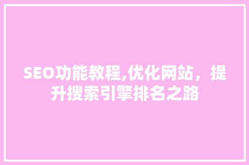 SEO功能教程,优化网站，提升搜索引擎排名之路