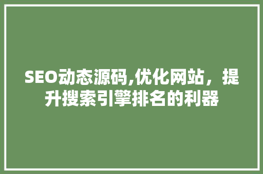 SEO动态源码,优化网站，提升搜索引擎排名的利器